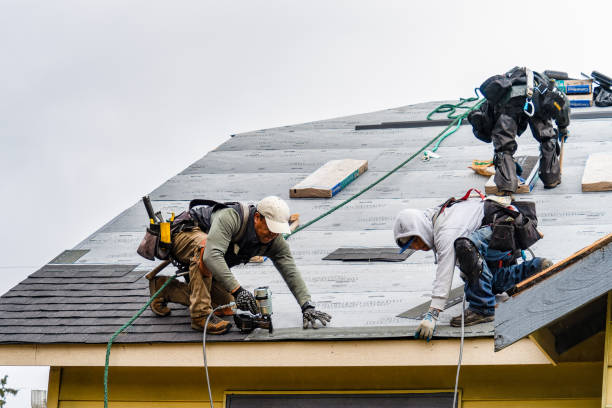 Professional Gutter Installation technician working in Pine Island, TX